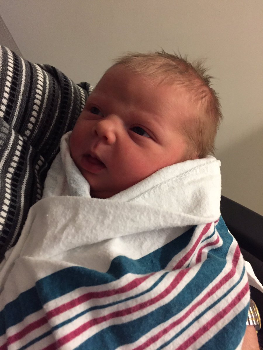 MrsRittberger's tweet photo. Happy Monday, Gators! This is Annika Elizabeth! Born 2/25. 8lbs 13oz. She is cute. @AveryGators1 https://t.co/Gf3pKW6Wsc