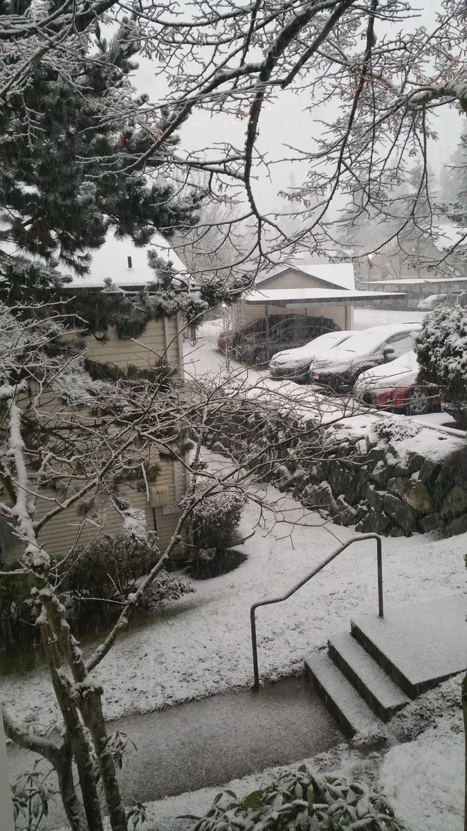 MeTheKingOne's tweet photo. A good winter wonder for a chilly Weekday start #k5 winter #king5 https://t.co/BQ2SSa01MG