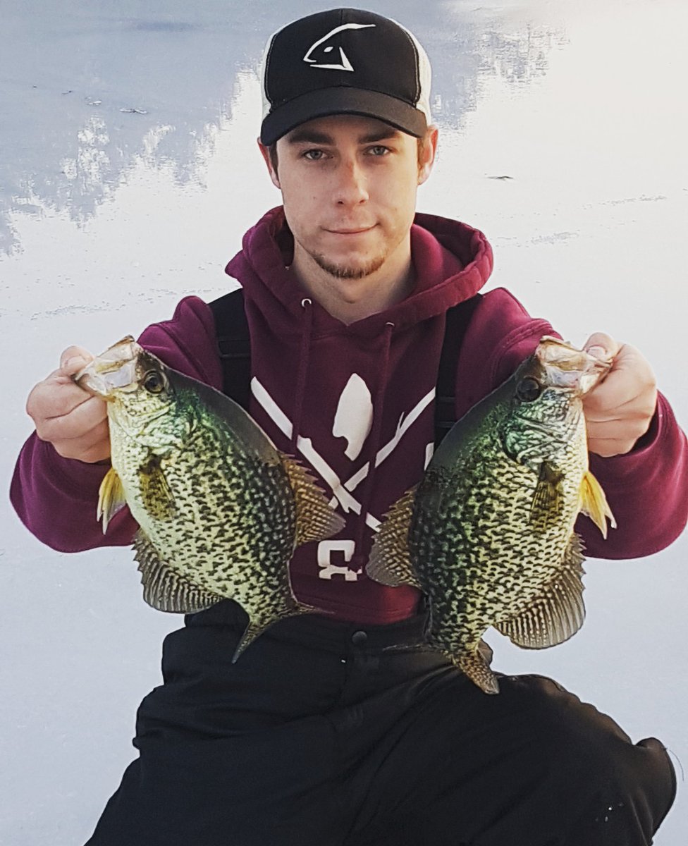 MacFish613's tweet image. Got onto a massive school of crappie. Average size was 12-13 inches......all of mine were caught on the @Lunkerhunt_fish bait jar
