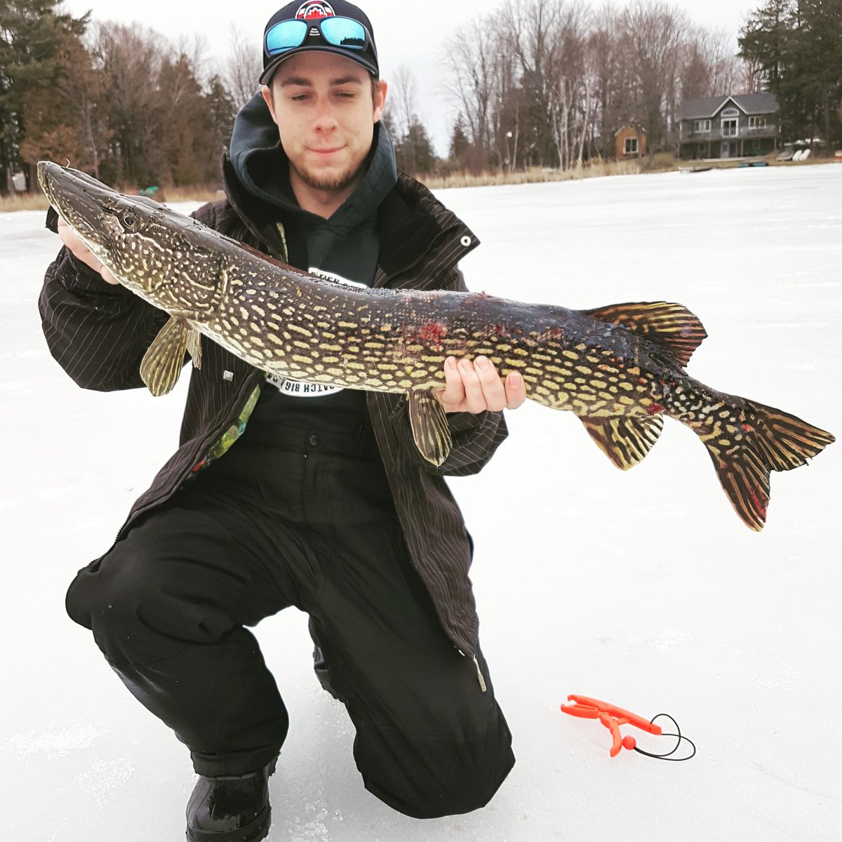 MacFish613's tweet image. Had a great few days on the ice recently! The last fish was this big nasty pike