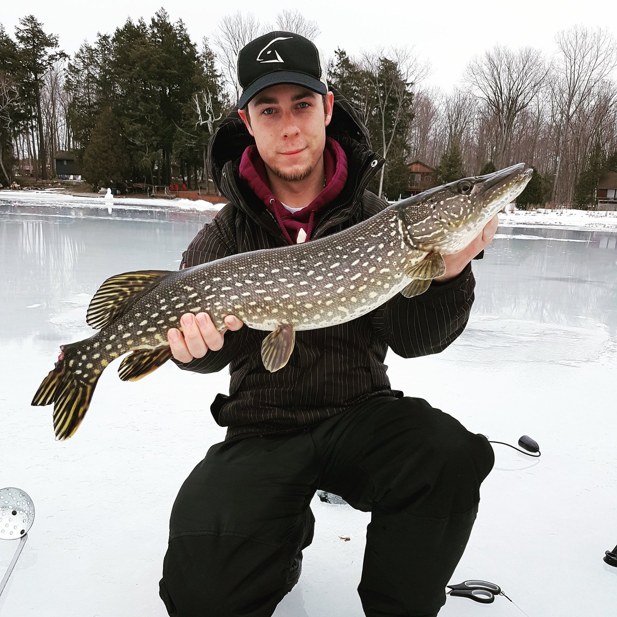 MacFish613's tweet image. This guy attacked my @Lunkerhunt_fish straight up jig while it was falling