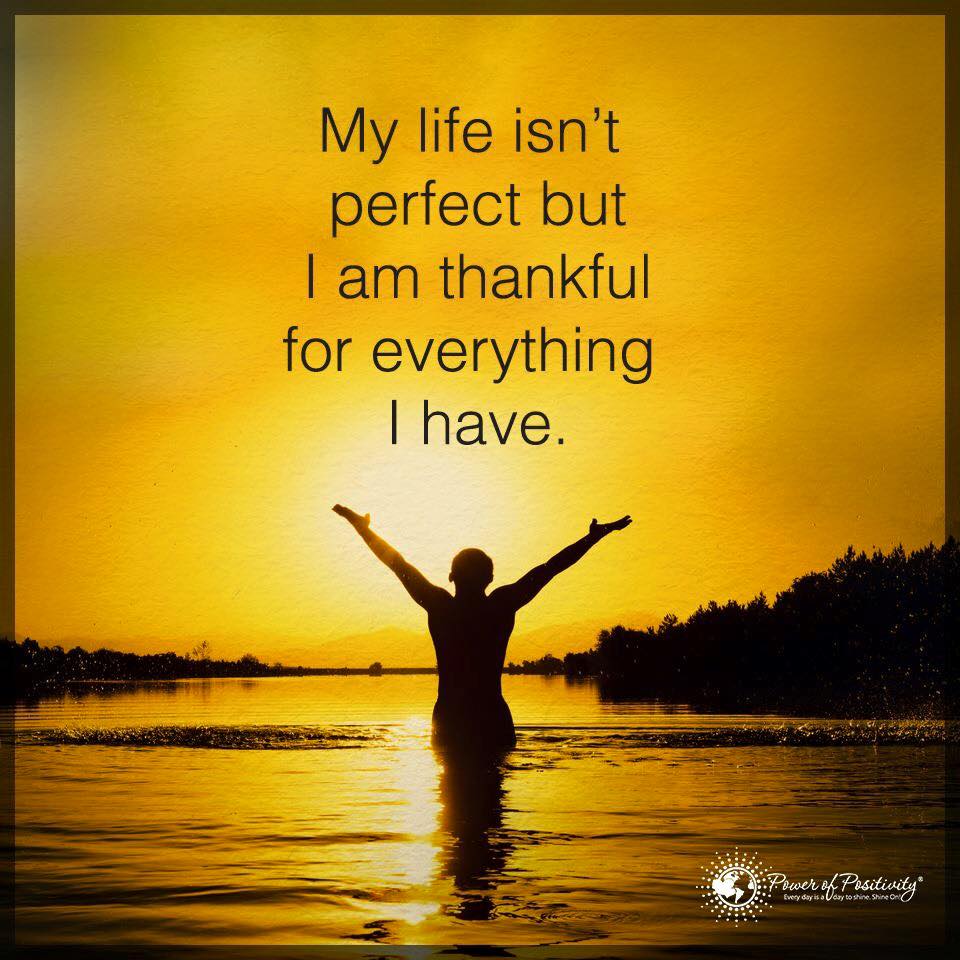 eldiablo0786's tweet photo. My #life isn't #perfect but I am #thankful for everything I have

via @LauriDMeizler 

#InspireThemRetweetTuesday
#IQRTG 
#MindfulMonday https://t.co/mso7HQQPvz