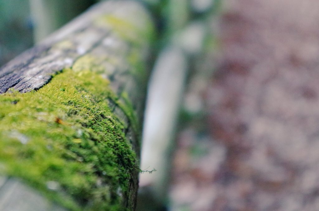 ARA721SHI's tweet photo. Photo-data

#Photodata 
#ファインダー越しの私の世界 
#写真好きな人と繋がりたい 
#気になったらRTもしくはファボ 
#ふぉと https://t.co/fO13M0Z4L3
