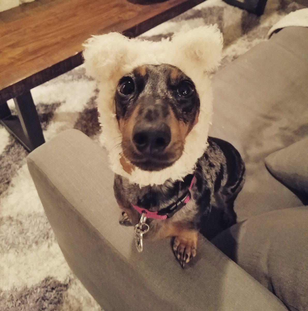 Phil Goerbig (@philgoerbig) on Twitter photo 