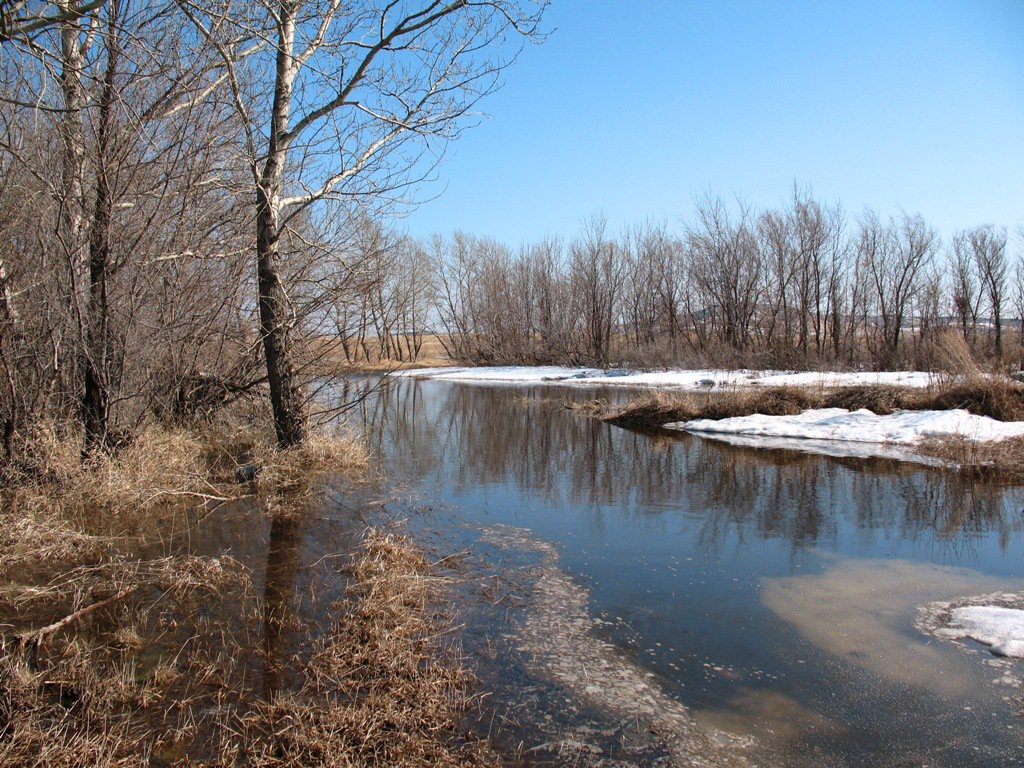 AsyaRestless's tweet image. 