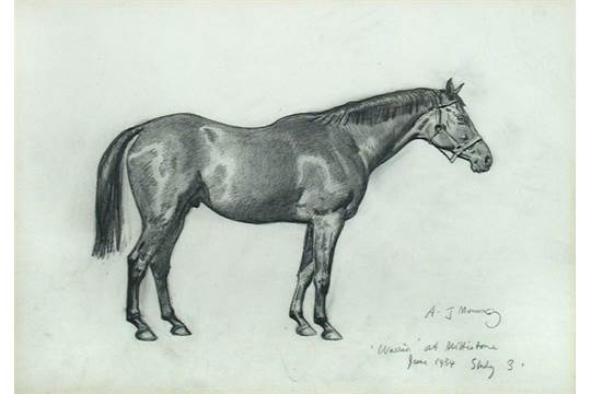 Warhorse picture up for sale