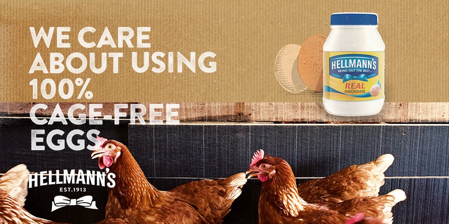 Hellmanns's tweet image. The fridge has spoken: @Hellmanns mayo is now made with 100% cage-free eggs. That is all.