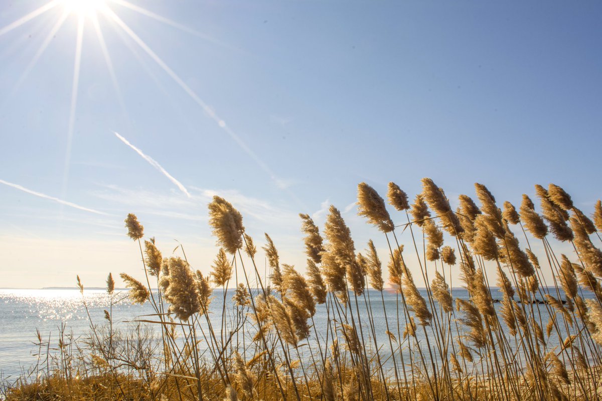 ashleyhallphoto's tweet photo. #windmillpoint @gonorthernneck @thenorthernneck @VisitVirginia @VAsRiverRealm @scenicvirginia @CBS6 @8NEWS @yourtake https://t.co/CnEwBLFDDd