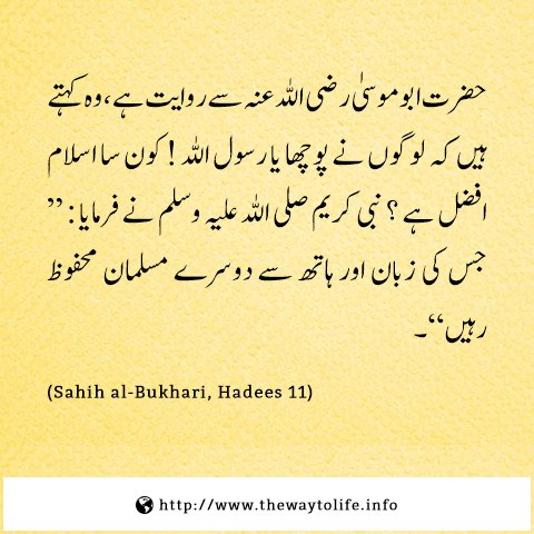 TWTL_INFO's tweet photo. #SahihBukhari https://t.co/boPGoLTBKm