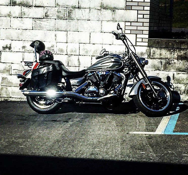 chippybuzz's tweet image. 