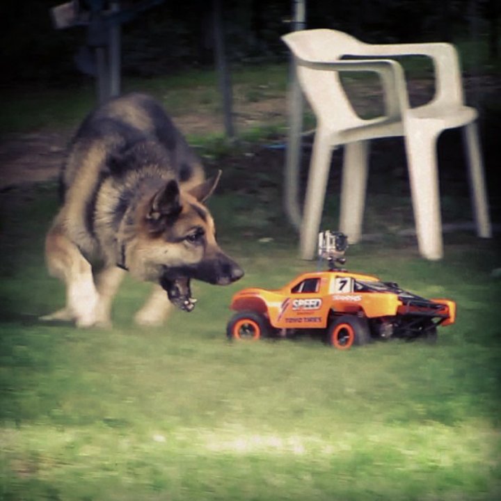 jjana___'s tweet photo. Let's get #PRAYFORZEUS trending to show some love to the Atwood family💖We love you Zeus💖 @RomanAtwood @_little_britt_ #PRAYFORZEUS https://t.co/WV0rJs7JJU