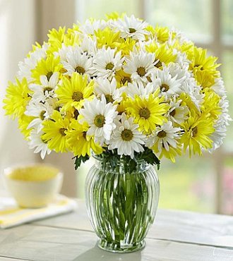 What_A_Bloom's tweet photo. Add some #sunshine to their day and send them our #beautiful Yellow and White Daisy #bouquet! https://t.co/4S9ZOrXXMP https://t.co/EpI6kwmYgO