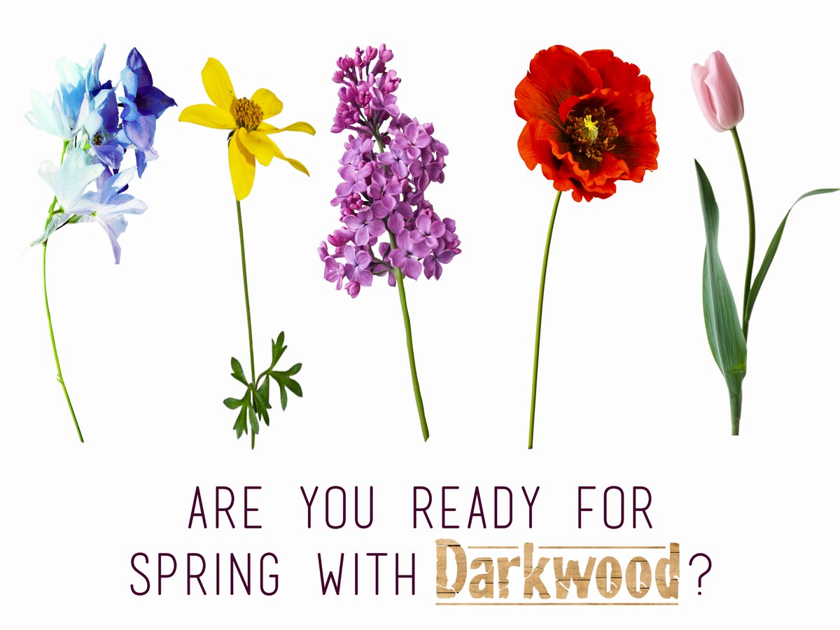 DarkwoodShoes's tweet photo. #Darkwood #darkwoodshoes #takeonchallenges #springsummer #newcollection #comingsoon #shoesblog #shoeslover #fashionwear #fashion #bloger https://t.co/Oa3eZIriBk