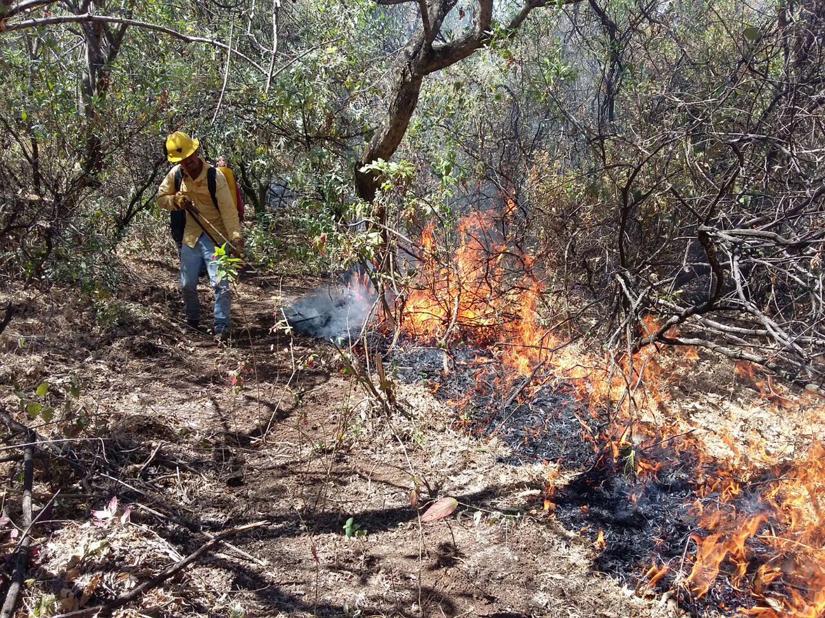 CEECA_Morelos's tweet photo. Atendemos incendio en lado norte de colonia Nueva Jerusalém #Cuernavaca en coordinación con @CONAFOR PC UAEM y comuneros de chamilpa https://t.co/4BgS2fCJm5