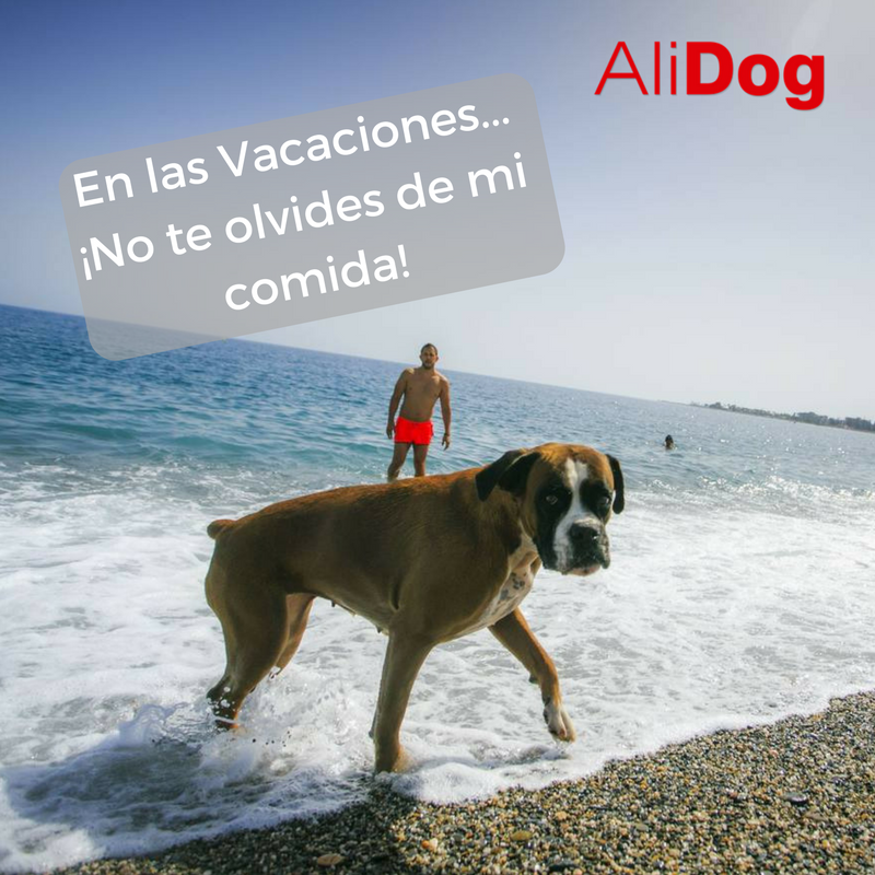 Aba_AliDog's tweet photo. No permitas que en estas fechas tu #peludito se quede sin su alimento, contáctanos para hacer tu pedido en #Carnaval #febrero #perros https://t.co/jvxaTErvED