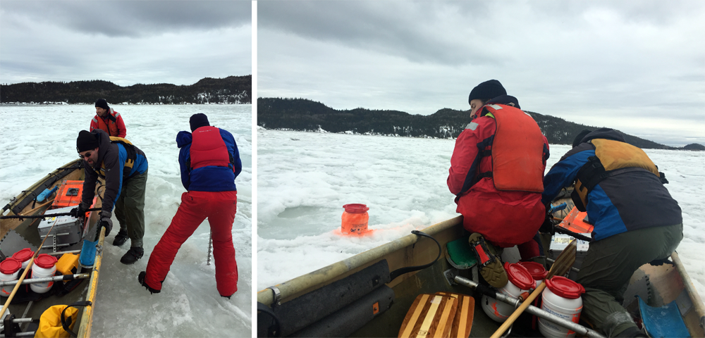 Dr Dumont,collègues,OGSL sur la glace: Amélioration de la dérive marine et des prévisions de dispersion @MEOPAR_NCE bit.ly/2mvQxkp