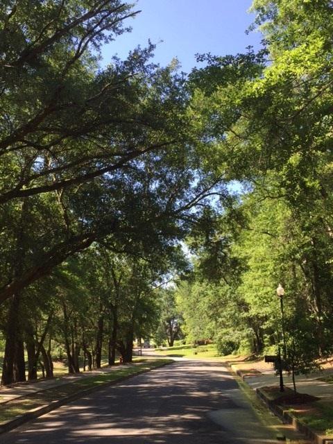 FRG2009's tweet photo. 4 LOTS IN SUMMER LAKE ~ $57,000-$62,000 https://t.co/rAx6x07Wd7 https://t.co/vRT1YpDZ7Y