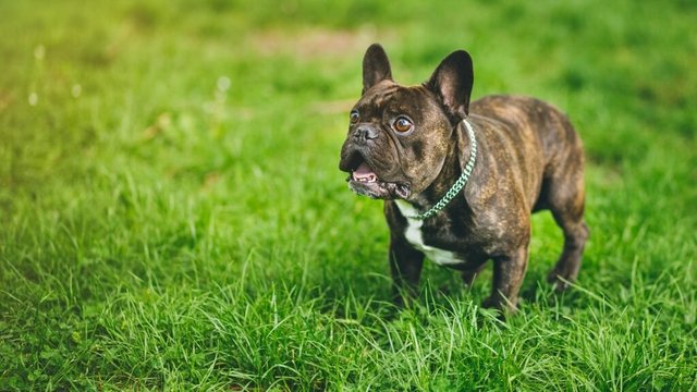 mdoane007's tweet photo. Six Tips To Develop A Strong #Digital #CustomerExperience @clpB2B #CX CustServ @Minutehack #OracleEmp https://t.co/ExoaHIhGCl https://t.co/WYop1GAlDN