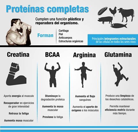 BossLanus's tweet image. ¿Querés tomar o estás pensando en comprar #proteína? ¡INFORMATE! #BossLanus #AlimentáTusMusculos