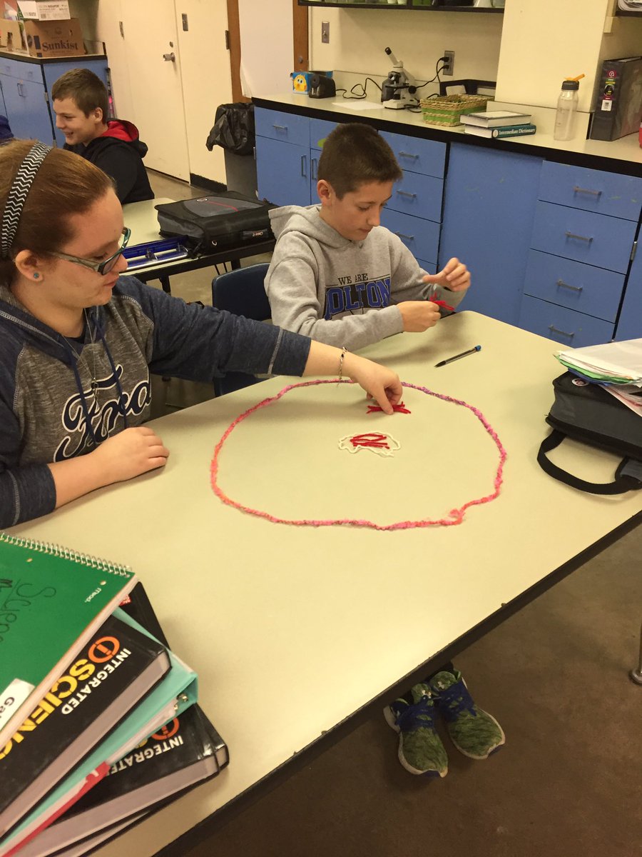 A little bit of the cell cycle in 7th grade science today.