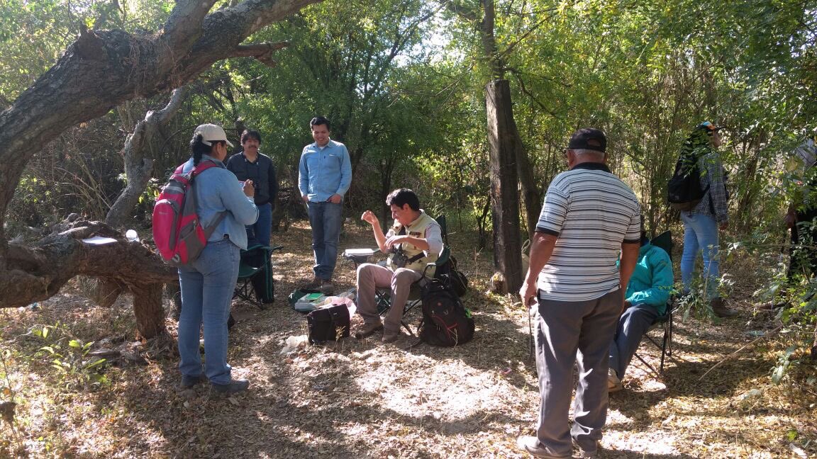 AnpSds's tweet photo. Muestreo de mamíferos e inventario florístico para Programa de Manejo de #CerrodelaTortuga https://t.co/DwElw4SYYg