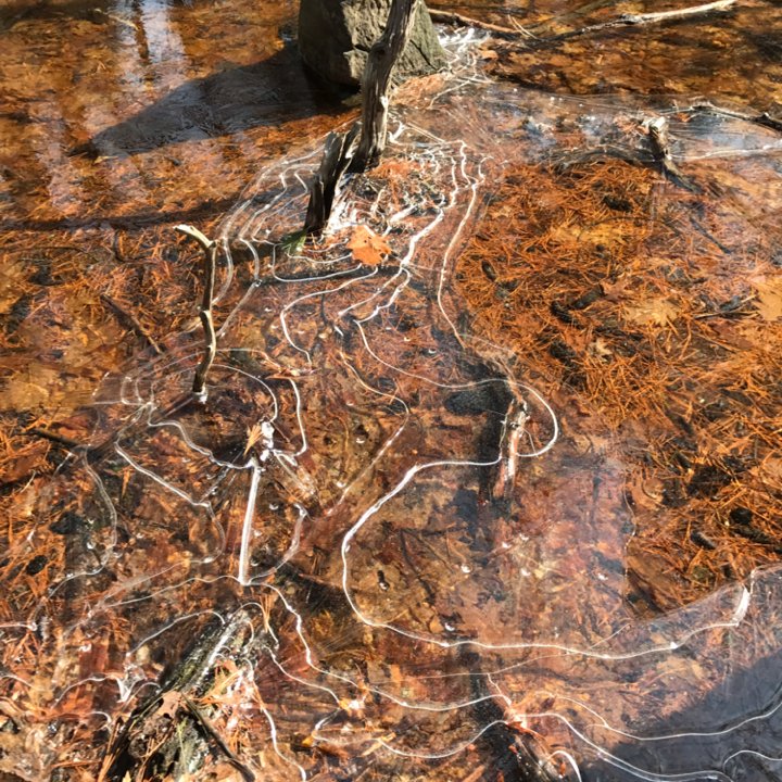 bethdsew's tweet photo. 9.2 @CharityMiles for @SU2C. Thx 2 #JNJ &amp; @DonateAPhoto. #mondaymilesmatter #noiceisnice https://t.co/YbdUsqFEEb https://t.co/olEUkXdhX8