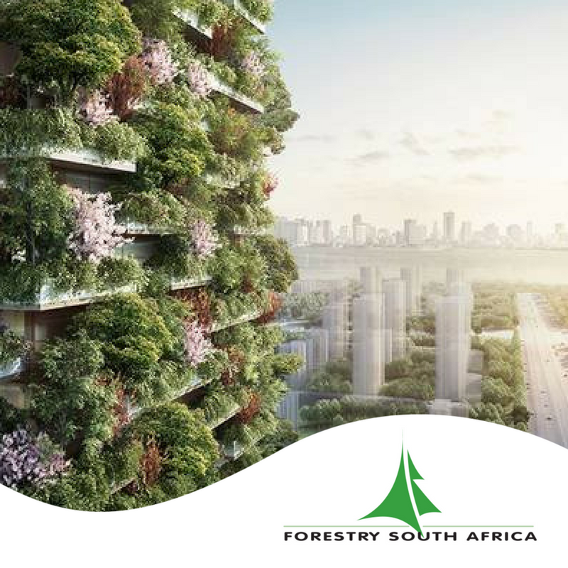 Forestry SA tweet media