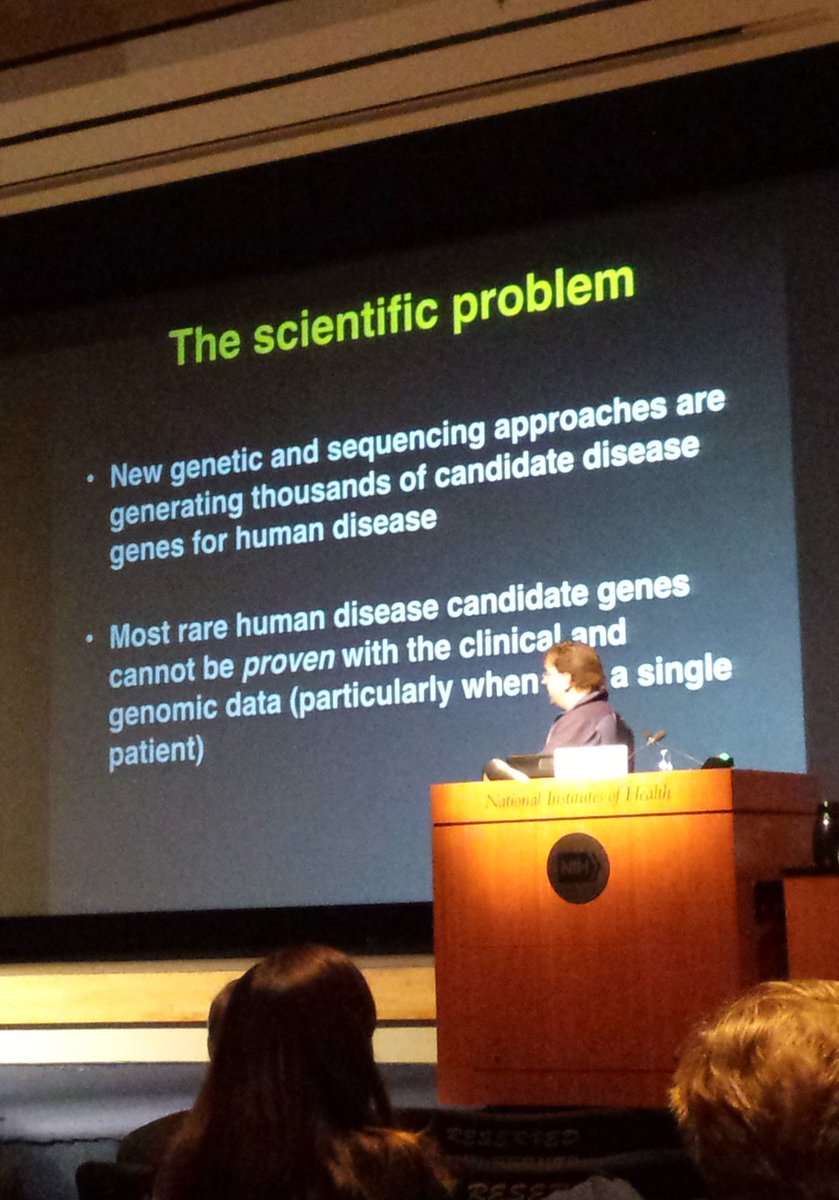 PatientWorthy's tweet image. @SMBurgessLab explaining the importance of zebra fish for rare disease research/genomics #RDDNIH