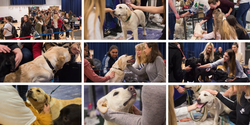 christchurchsu's tweet photo. 600! Voters! #CCSUvoice That means we're 20% of the way towards getting a puppy day! https://t.co/1LlALEYHmd https://t.co/eHibSAksnp