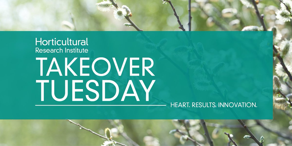 HortResearch's tweet image. This is Bernie Mach, from @UKAgriculture, &amp;amp; I'm here to host HRI's #TakeoverTuesday! #PollinatorResearch