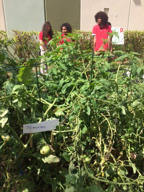 ariodzernbc6's tweet photo. 2 magnet programs and much more at Country Club Middle. #BragAboutYourSchool at 5:30 on @nbc6. @MDCPS @CountryMiddle https://t.co/RIdR4oAD60