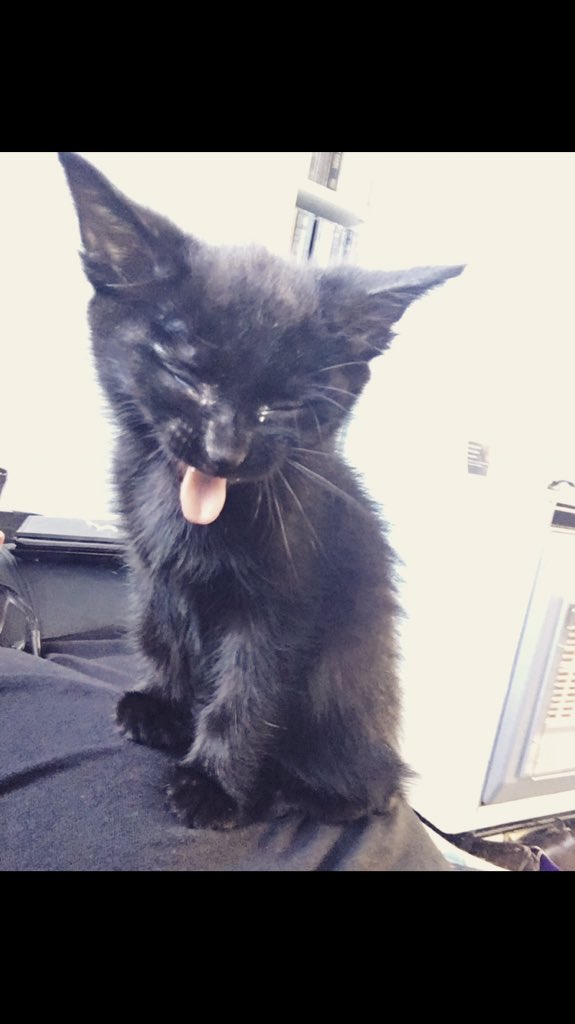 Ā DÅY ØVĒRDUĒ tweet media