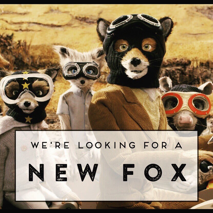 v_o_l_p_i's tweet photo. It's that time again! 

Send your CVs to mark@filterandfox.co.uk or pop in and visit us! https://t.co/5M3pWE9qqy