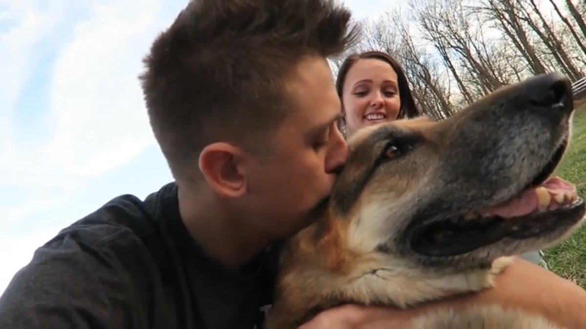 PeaceRose96's tweet photo. love you then, love you still, always have, always will, forever in our hearts zeus❤

@RomanAtwood @_little_britt_ https://t.co/Ht7NjGGc9J