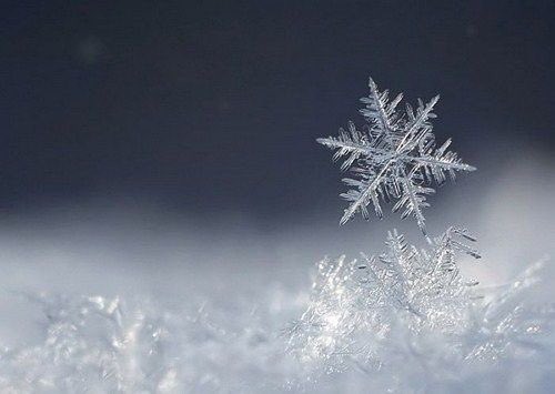TinDizzy's tweet photo. All this derogatory talk about #snowflakes, but where I come from if we don't get plenty 'nough we get Hell Fire. #HowToSpotASnowflake… ❄️ https://t.co/ogzZEYzVsF