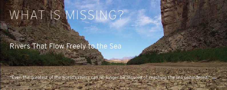 What Is Missing? tweet media