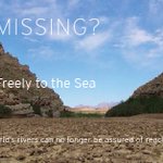 Photo by What Is Missing? (@WhatIsMissing_)