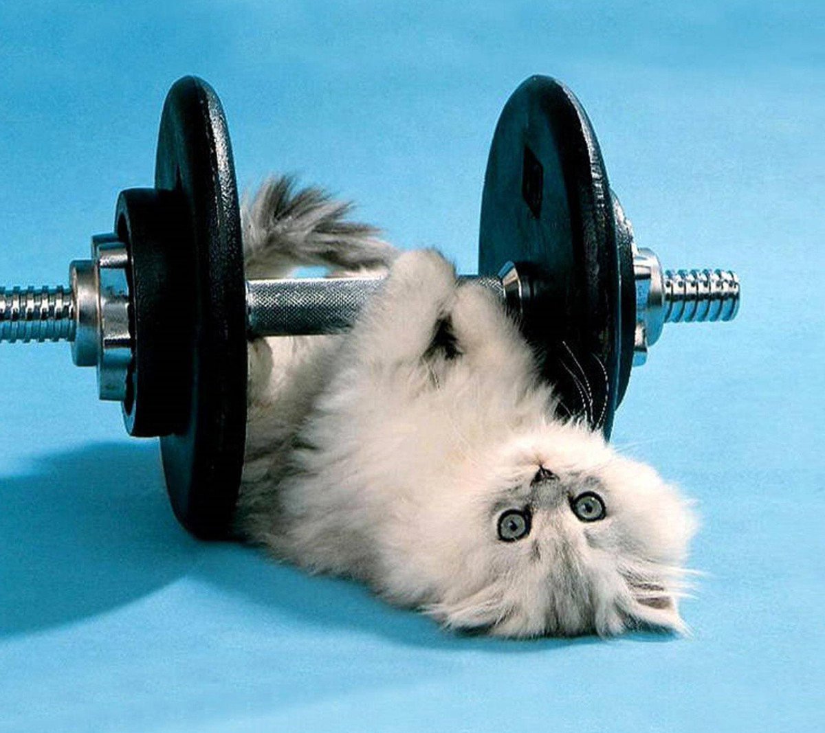 You CAN do it! 
Nothing is impossible! 

#JoyTrain #SuccessTRAIN #Joy #Success #Courage #Empowerment  #SatChat #SaturdayMorning #SaturdayMotivation #SaturdayThoughts RT <a href="/JAnuonyam/">Joy Asamoah</a> <a href="/SnowCalmth/">Vadim Dovganyuk</a>