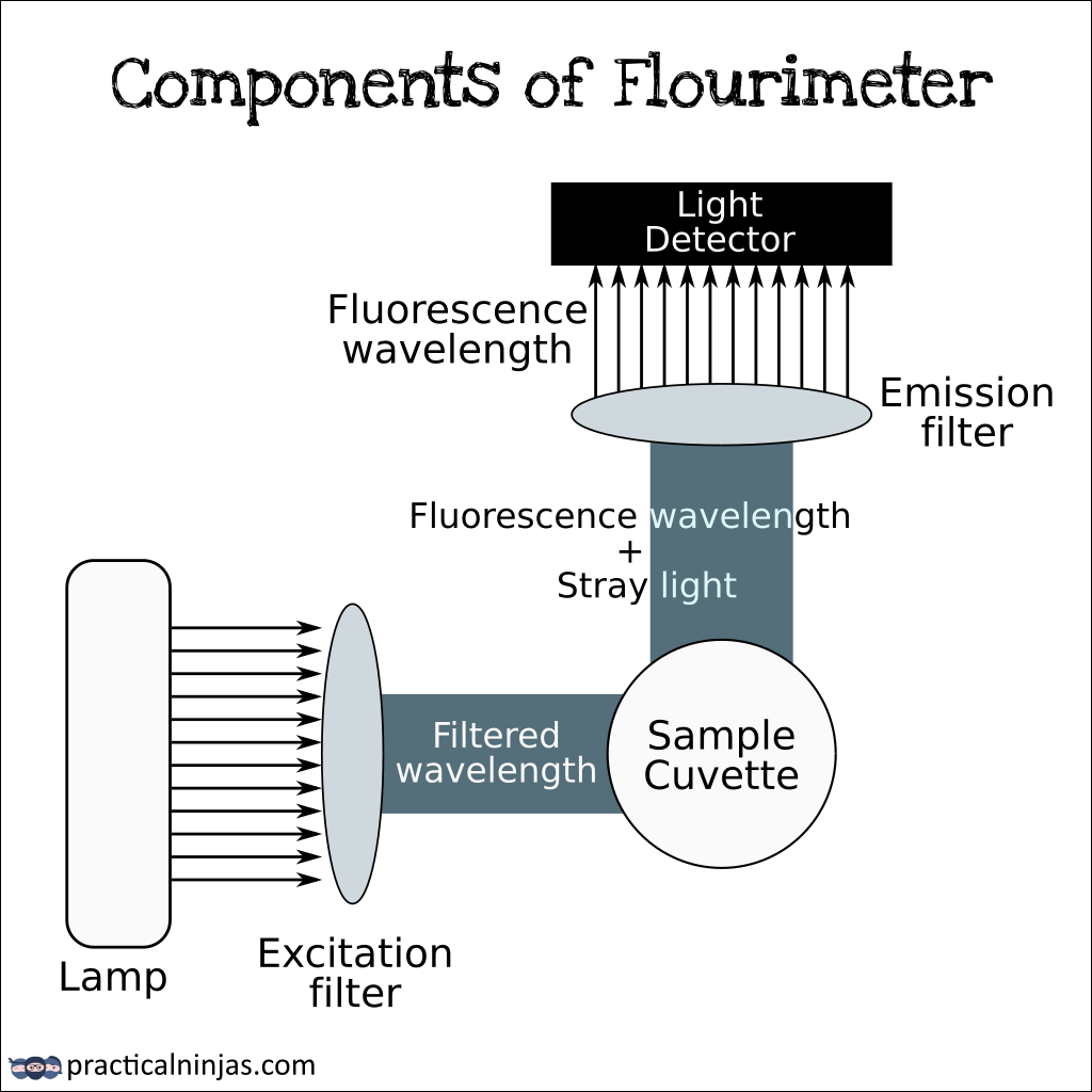 practicalninjas's tweet photo. The fluorimeter consists of 2 wavelength filters or monochromators. One is between the source and sample &amp; other between sample and detector https://t.co/mETPWgChLc