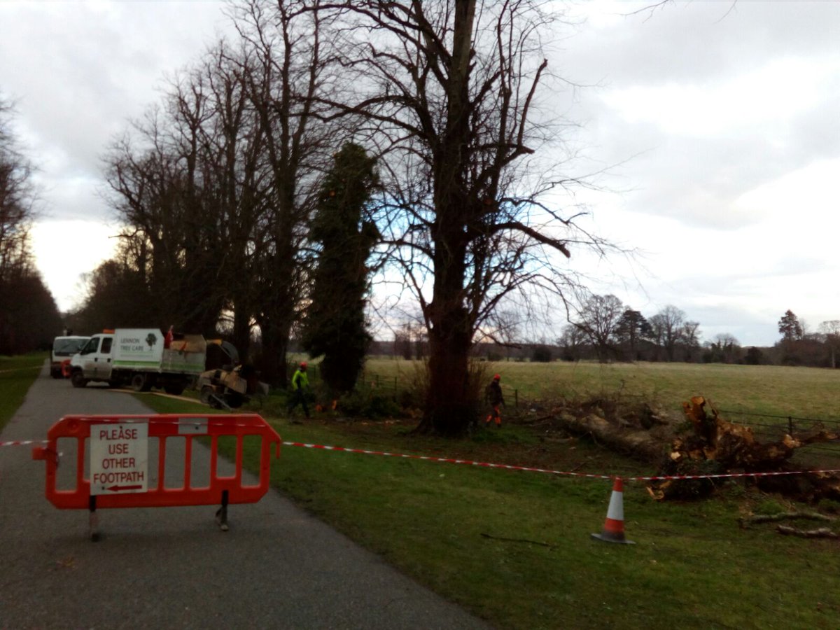 Lennontreecare's tweet photo. #dorisstorm made a mess @opwcastletown its all good now #lovemyjob https://t.co/ofH60q2A0G