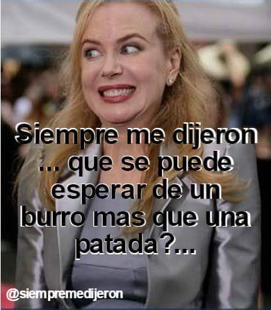siempremedijer1's tweet photo. Te lo dijeron a vos? Envianos tu #siempremedijeron #burro #patadadeburro #patada #nicolekidman #theoscars https://t.co/4TFoB3ogwR