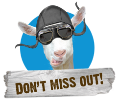 SeattleYMS tweet picture