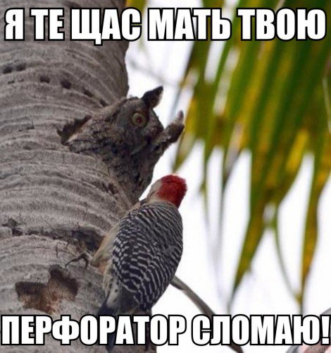 https://pbs.twimg.com/media/C5sMAwyWYAI4t5k.jpg
