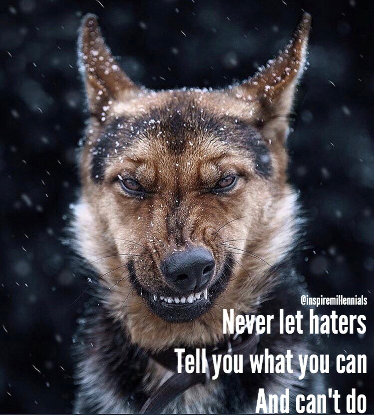millinspire's tweet photo. https://t.co/eBnb8bC1xN