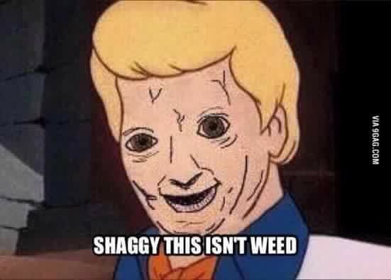 erickrosvdo's tweet photo. What's happening? #notweed https://t.co/fMHOzP66vY