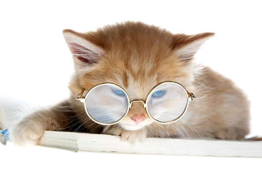 PrimeBooks's tweet photo. Short story suggestions for WITCHES BREW antho? Spooky, eerie, weird, etc. stories that give a real chill. NO CLASSICS and NOT YOUR OWN WORK https://t.co/vRN0q9f9xc