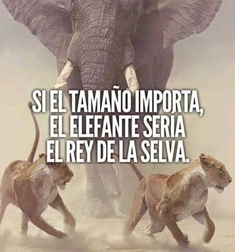 FrasesSuperCool's tweet photo. Las mejores frases en https://t.co/yRI4glWXlc https://t.co/9zdBK6MIZA