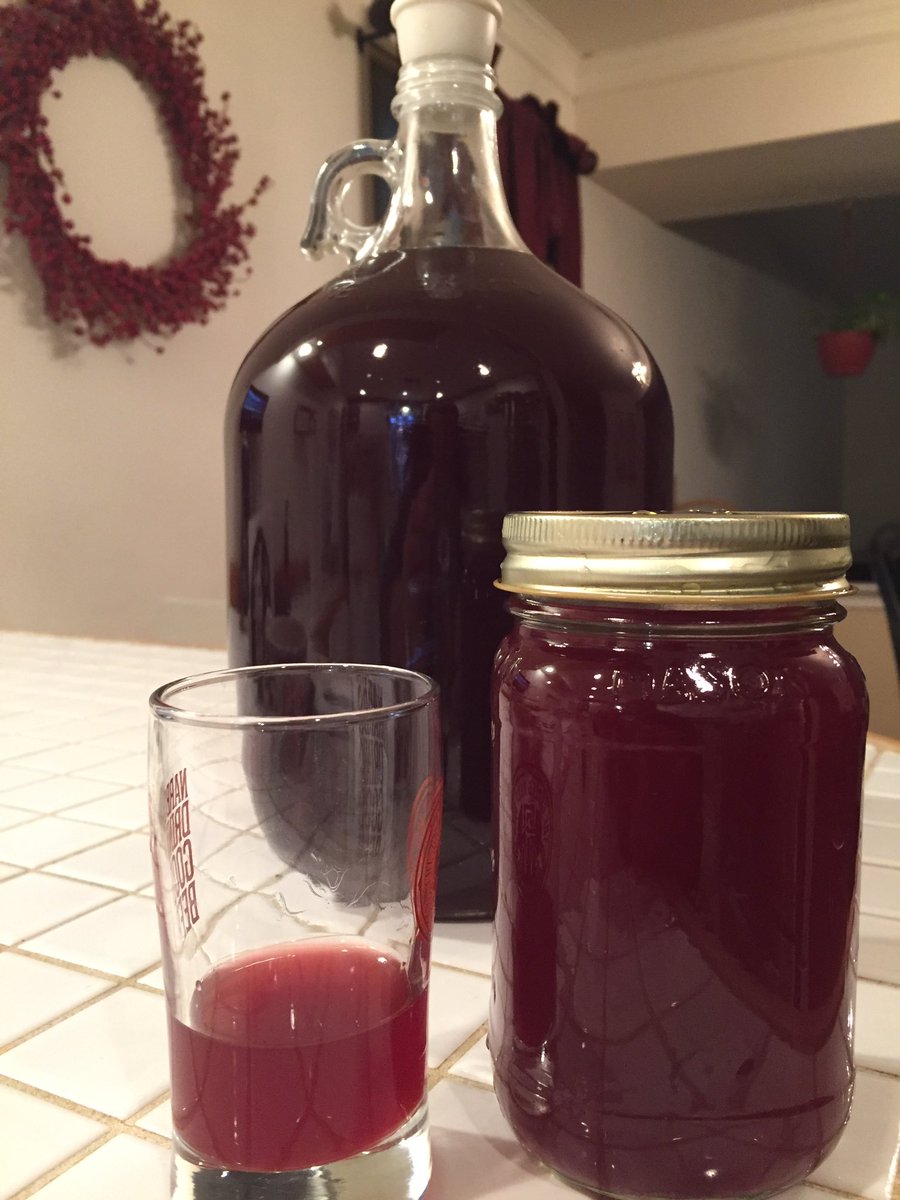 Viking Blood Cherry Mead Recipe Dandk Organizer