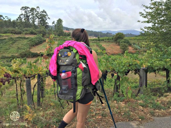 SlowCityHostel's tweet photo. The Portuguese Way from Cesantes to Pontevedra this winter by 3 portuguese girls https://t.co/OrBdbYLYCm https://t.co/mLjLbE7hDn