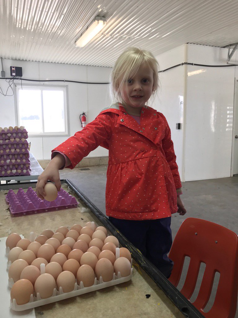 renkema_brian's tweet photo. Last egg for this flock! Bitter sweet day. #cleanouttime #farmingfun https://t.co/1lvlDYU8Jb